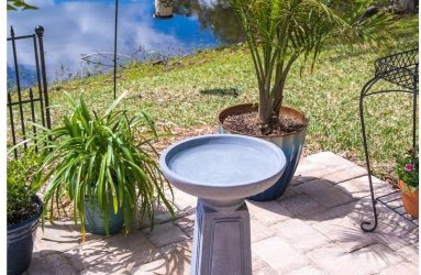 bird-bath-pedestal-concreate-finished-outdoor